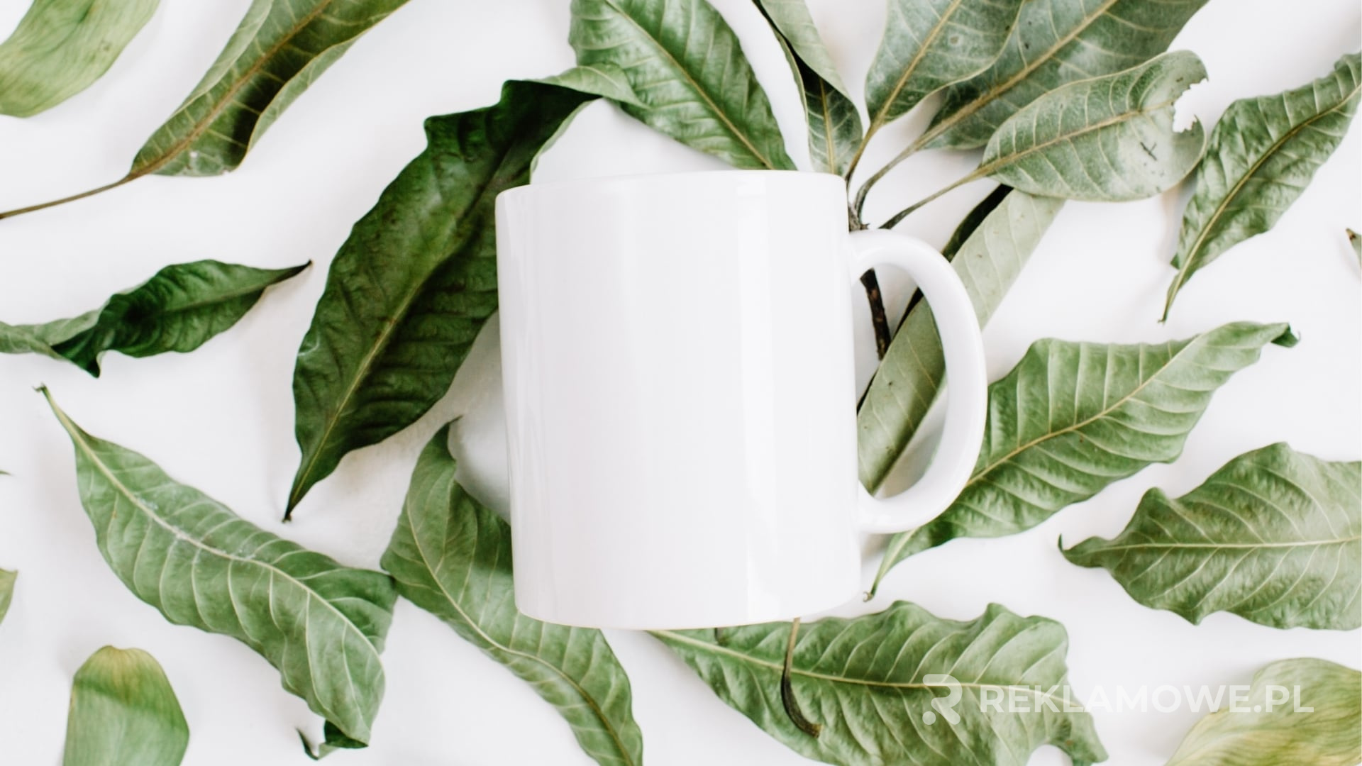 Kubki reklamowe w trakcie dystrybucji