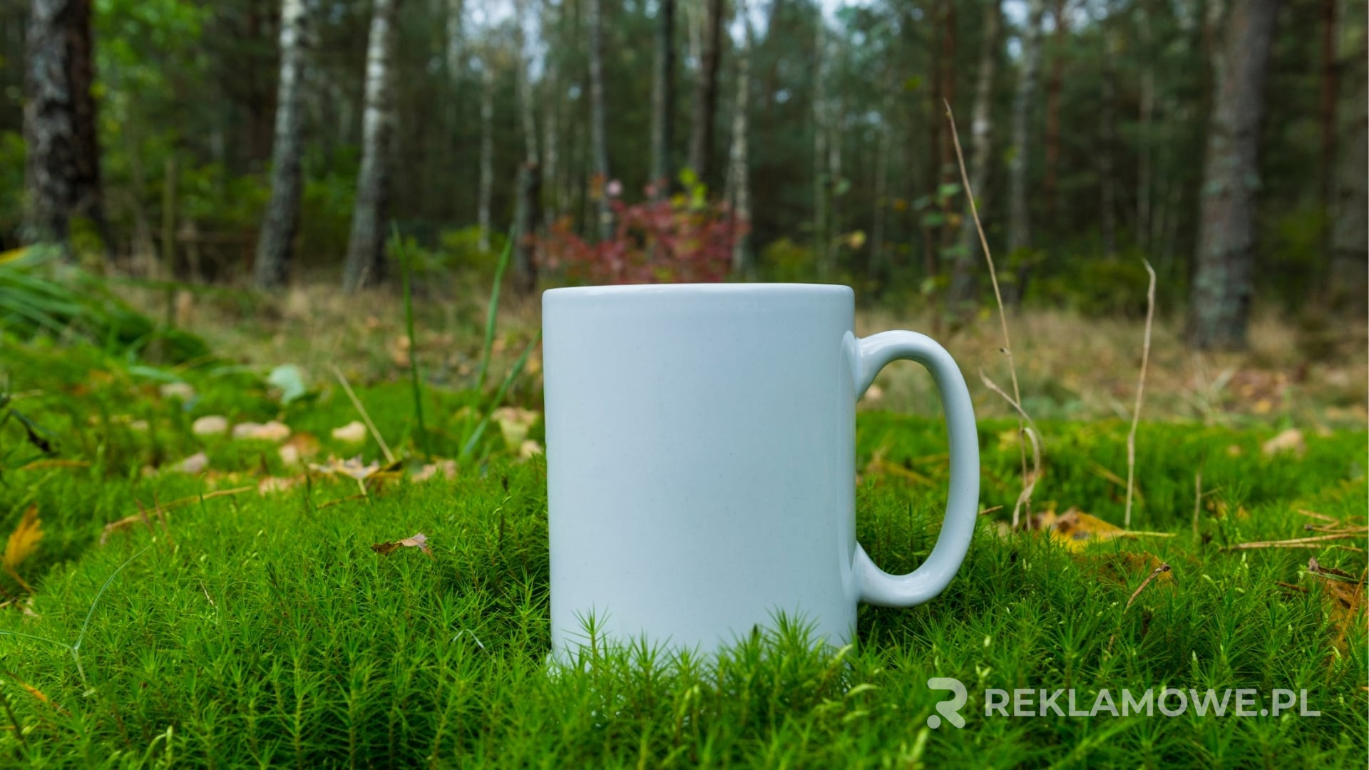 Różnorodne kubki reklamowe ułożone obok siebie